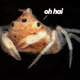 Illustration for article titled emBlinky/em, the freaky three-eyed crab that is actually two crabs in one